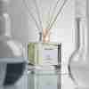 Fig leaf селективный аромат | Lab Fragrance